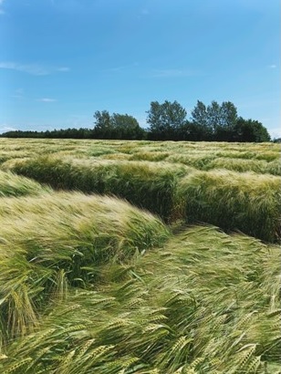 GIORNATA DI FORMAZIONE: Gestione dell'Azienda Emilia di Tavazzano