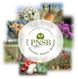 PNSB