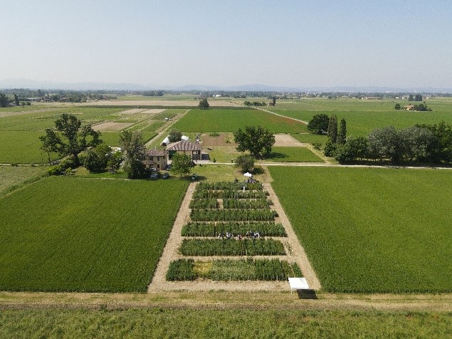 Post controllo cereali Bologna