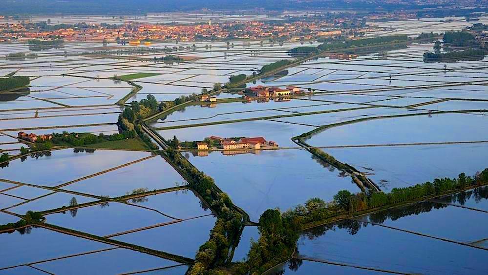 La certificazione delle sementi di riso e attività sperimentale – Campagna 2020-21