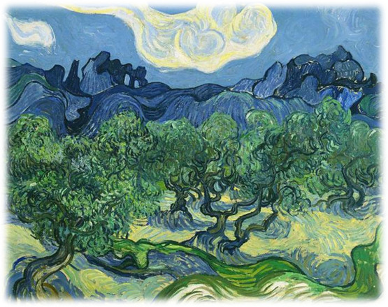 Convegno_Salvaolivi_olidixiit