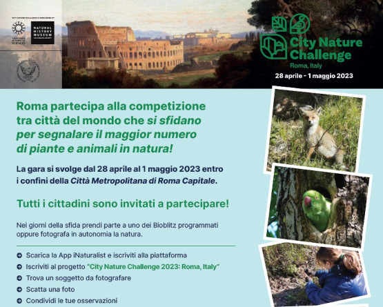 city nature challenge