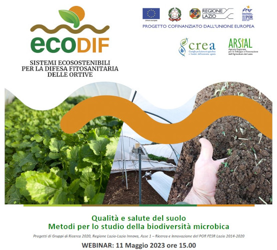 Webinar-ECODIF