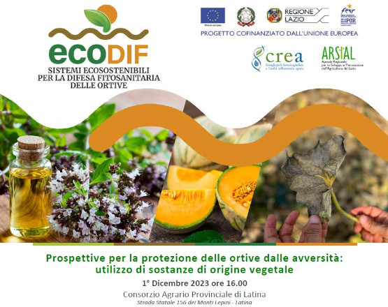 EcoDif_convegno_risultati
