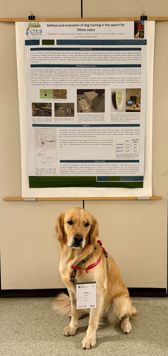 Immagine che ritrae il cane da ricerca ed il poster che parla del suo lavoro