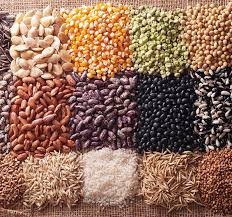 Alla Scoperta della Biodiversità Sementiera: Certificazione, Analisi e Conservazione dei Semi