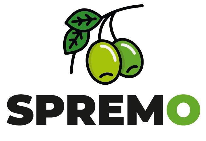 convegno finale SPREMO