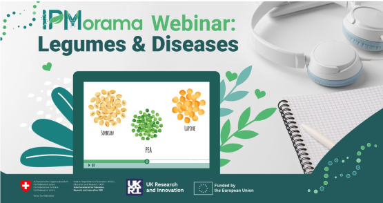 Webinar progetto IPMorama si parlerà di tre legumi strategici: soia, pisello e lupino Webinar progetto IPMorama si parlerà di tre legumi strategici: soia, pisello e lupino