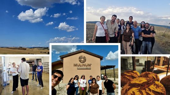 Incontro tecnico divulgativo in CCAVD – visita alla Società Agricola “Mulinum” il primo mulino dei contadini Incontro tecnico divulgativo in CCAVD – visita alla Società Agricola “Mulinum” il primo mulino dei contadini