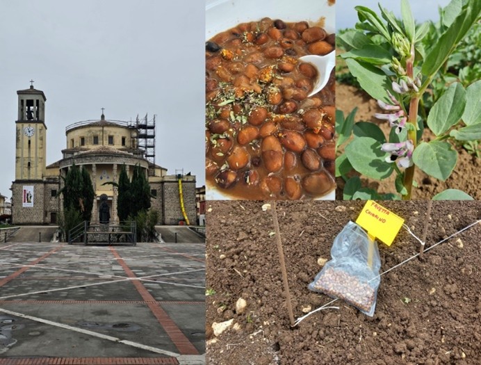 Il CREA-DC al Palio della Contea di Aquino (FR) – Stand espositivo sulla risorsa genetica “Favetta di Aquino” durante il Palio dei Piccoli