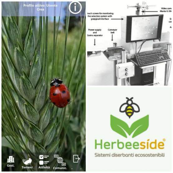 Incontro tecnico: Opportunità di cooperazione tra organizzazioni e istituzioni per la filiera cerealicola del vallo di Diano