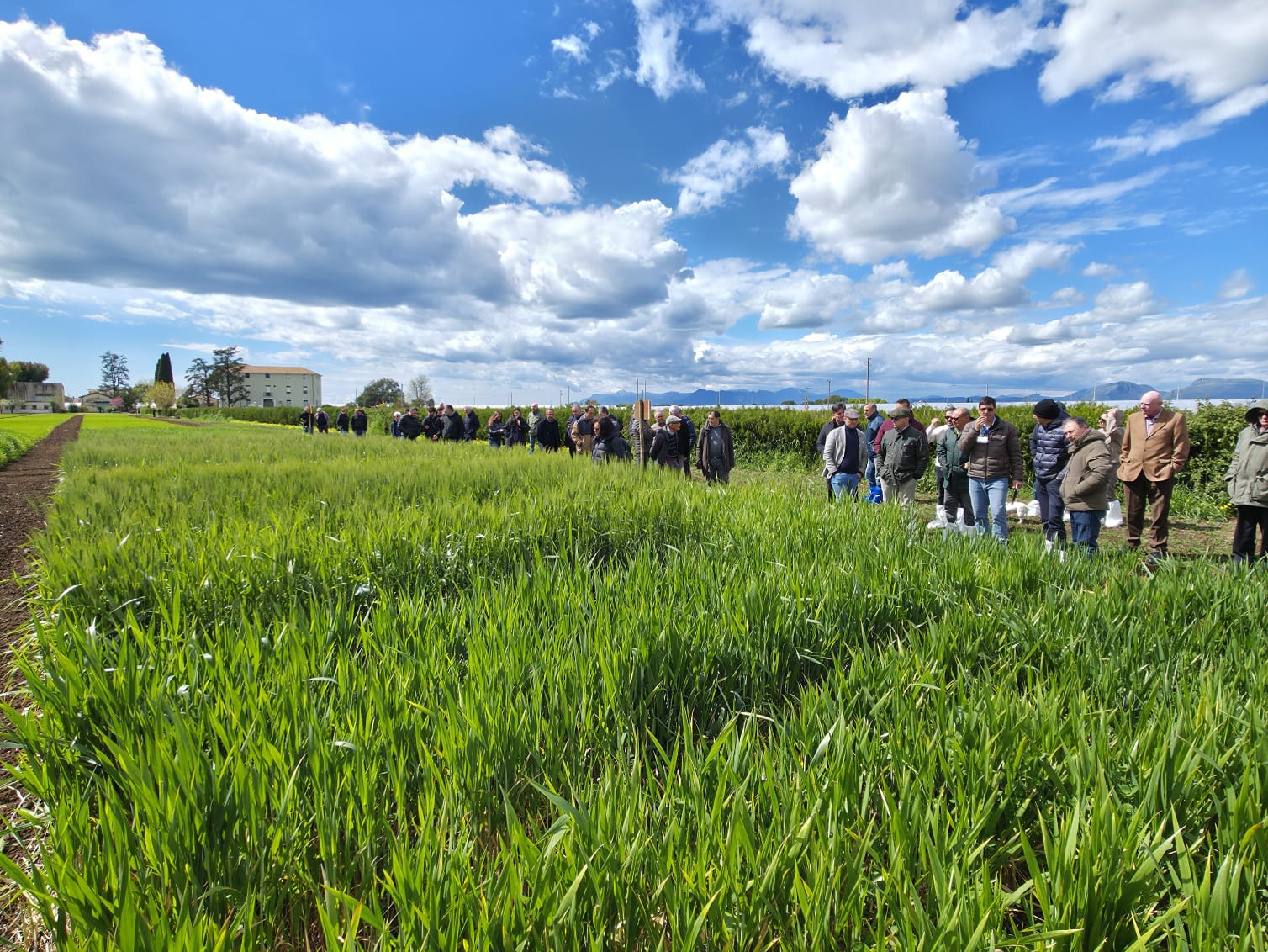Confronto tecnico con le ditte sementiere presso la sede di Battipaglia