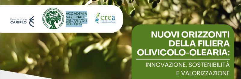 Convegno Nuovi orizzonti della filiera olivicolo-olearia: innovazione, sostenibilità e valorizzazione.