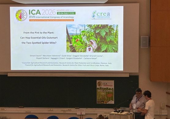 Il CREA protagonista all'International Congress of Acarology 2026: ricerca, innovazione e valorizzazione dell'Acarologia italiana