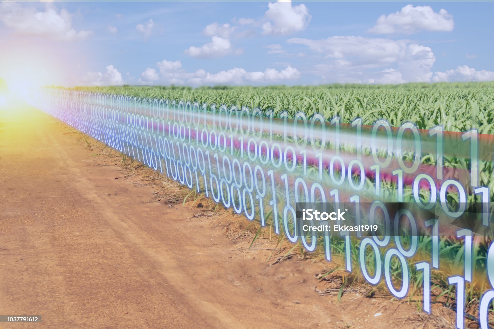 agricoltura_di_precisione