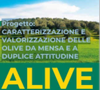 Grande successo di ALIVE che ha incontrato i produttori di olive da tavola italiane