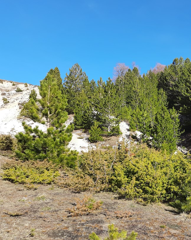 I ricercatori del CREA sotto il profilo bibliometrico