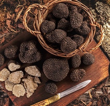 tartufi