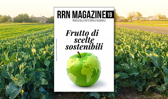 RRN Magazine 19 – Rivista della Rete Rurale Nazionale
