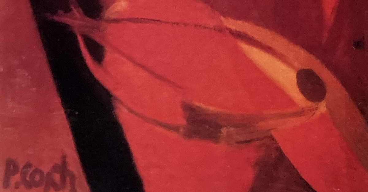 Diritti, Sviluppo e Ruralità. La forza collettiva delle donne