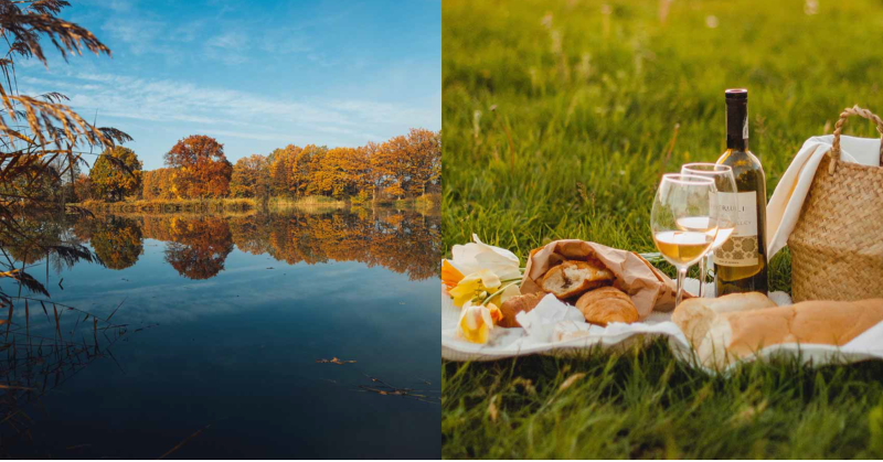 F-LAW. Forestry Law and Food Law. Incontri di disseminazione e di integrazione delle conoscenze