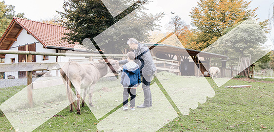 Agricoltura Sociale - Dieci anni dalla legge 141/2015