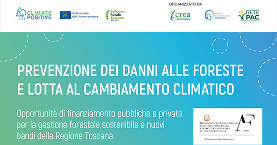 Prevenzione dei danni alle foreste e lotta al cambiamento climatico