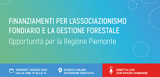 Finanziamenti per l’associazionismo fondiario e la gestione forestale