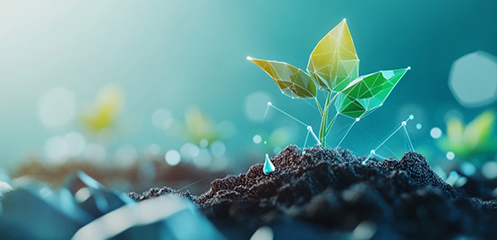 AKIS: Esperienze, valutazione e prospettive