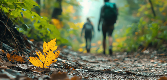 Save The Date "Terapia forestale e aree naturali protette: una nuova opportunit&agrave;"