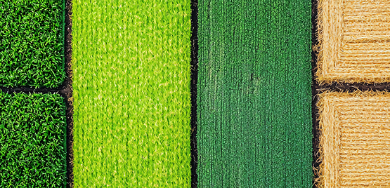 Disparità settoriali e geografiche nelle aree rurali: analisi e proposte di policy