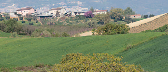 L&rsquo;agricoltura calabrese conta 2025