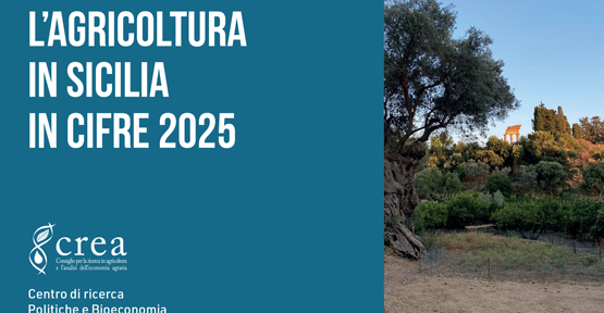 L'agricoltura in Sicilia in cifre 2025