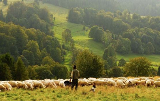 Giovani dentro, una ricerca per Riabitare l’Italia
