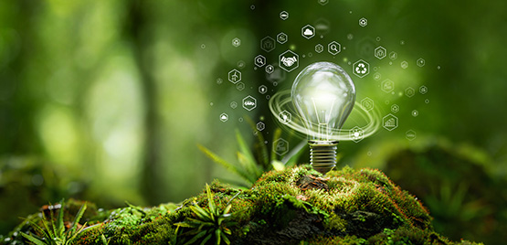 CREA e ANARSIA per il miglioramento del Back Office in ambito agricolo e forestale