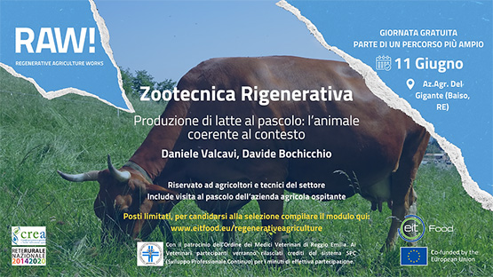 Zootecnia rigenerativa: produzione di latte al pascolo