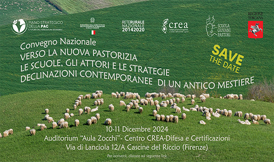 Verso la nuova pastorizia: le scuole, gli attori e le strategie – declinazioni contemporanee di un antico mestiere
