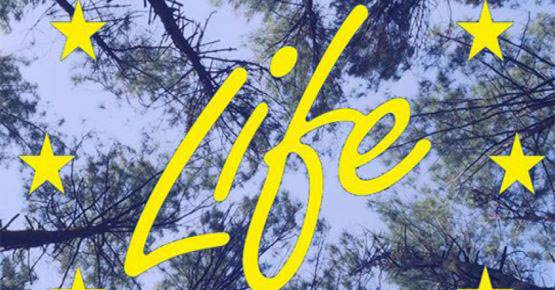 Save the date Green Deal