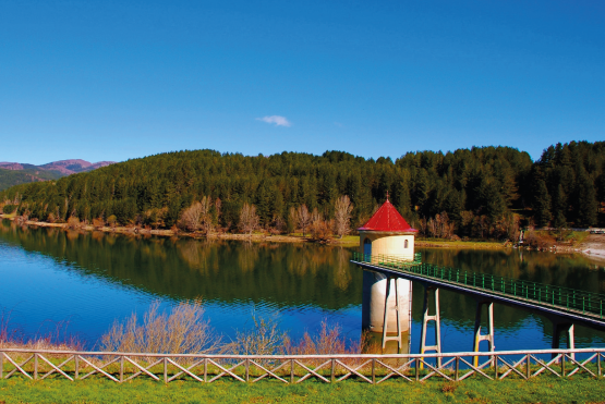 Infrastrutture rurali e sviluppo territoriale