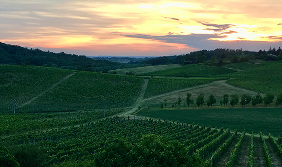 Il contributo dei lavoratori stranieri all’agricoltura: il contesto piemontese, criticità e temi di intervento