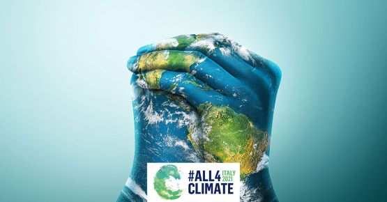 I mercati volontari dei crediti agricoli e forestali