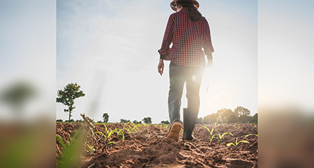 Donne, agricoltura e foreste: contare per contare