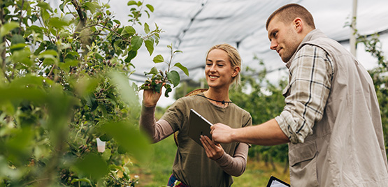 Giovani agricoltori al centro del futuro dell’agricoltura europea