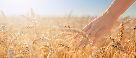 Donne, Agricoltura e Sostenibilità