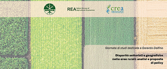 Disparità settoriali e geografiche nelle aree rurali: analisi e proposte di policy
