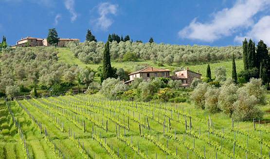 2014–2022: A New Path to Support the Agri-Food Industry