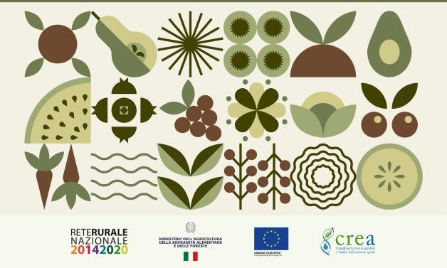 I Distretti biologici in Italia: pratiche e sistemi virtuosi a servizio della comunità e del territorio