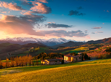 Festival Soft Economy