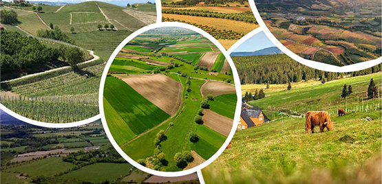 Le nuove tecnologie Bio-based come motore dell'innovazione per le imprese agricole e forestali