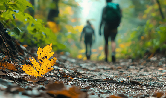 Terapia forestale e aree naturali protette: una nuova opportunità